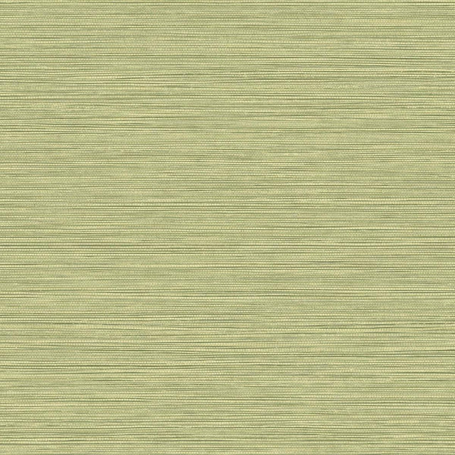 Seabrook Grasslands Lime Moss Wallpaper