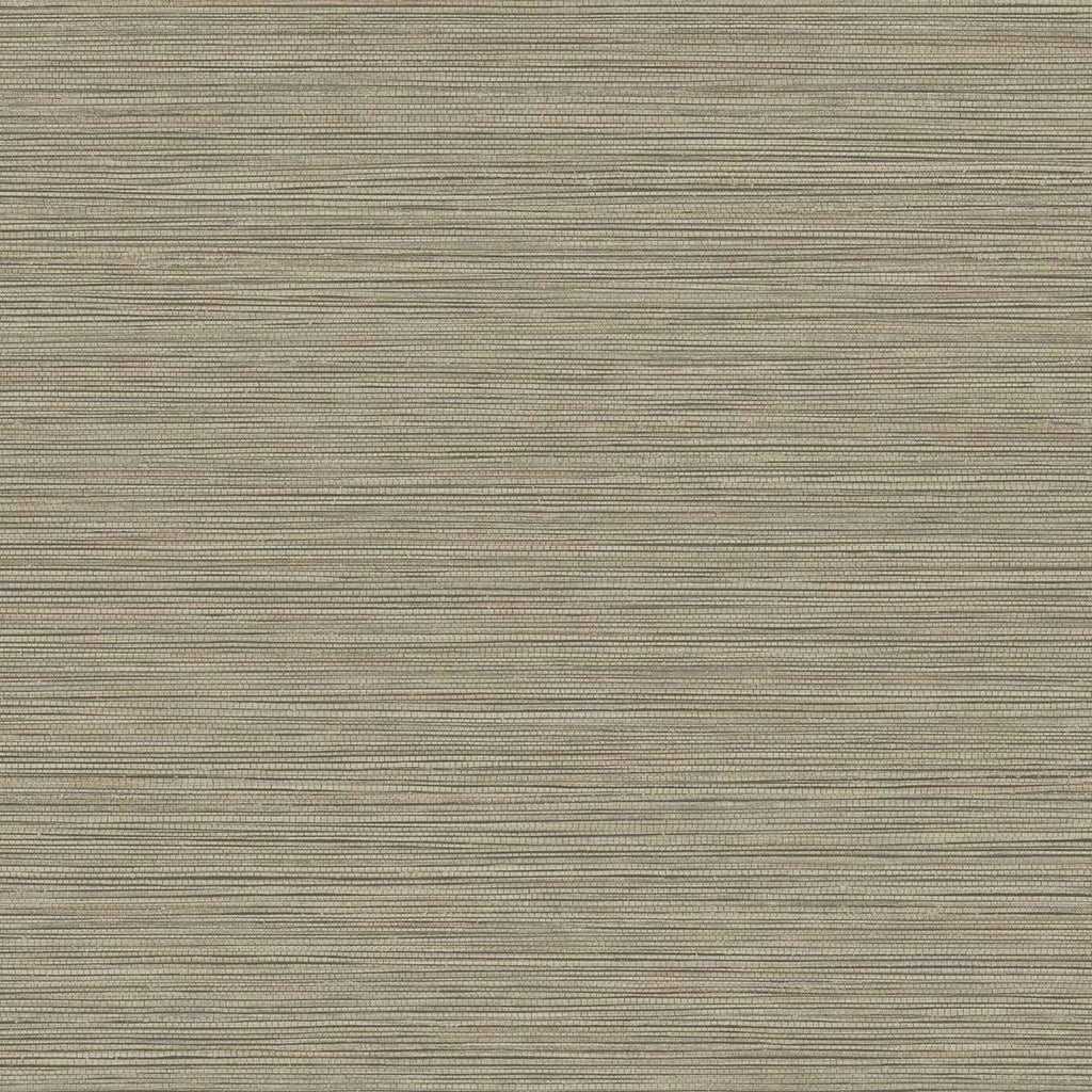 Seabrook Grasslands Grey Wallpaper
