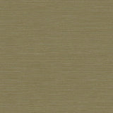 Seabrook Coastal Hemp Green Wallpaper