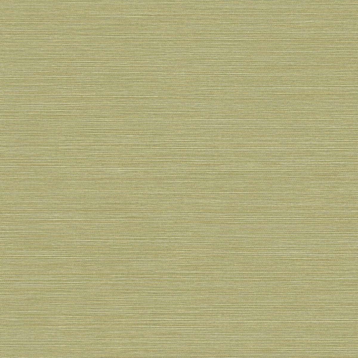 Seabrook Coastal Hemp Lime Moss Wallpaper