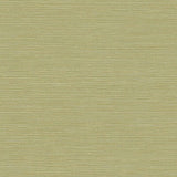 Seabrook Coastal Hemp Lime Moss Wallpaper