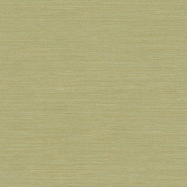 Seabrook Coastal Hemp Lime Moss Wallpaper