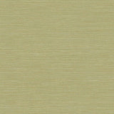 Seabrook Coastal Hemp Green Wallpaper