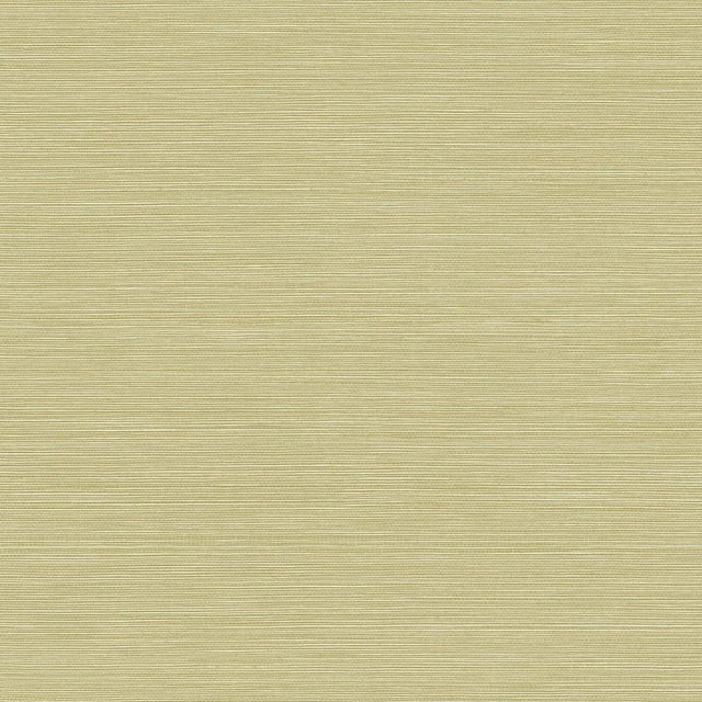 Seabrook Coastal Hemp Aloe Wallpaper