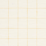 Schumacher Marietta Yellow Fabric