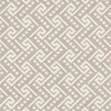 Schumacher Ionic Weave Dune Fabric