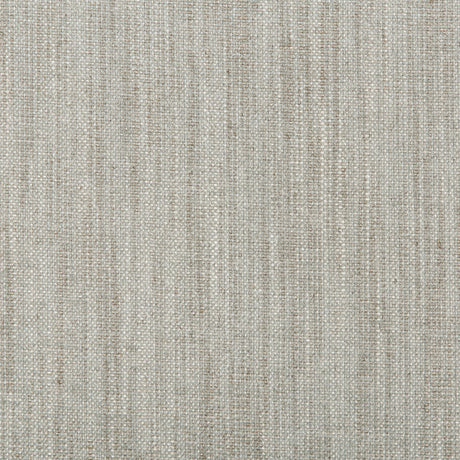 Kravet CARBON TEXTURE CLOUD Upholstery Fabric