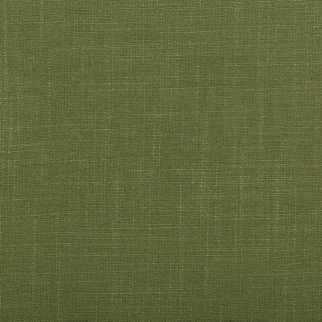 Kravet AURA VINE Fabric