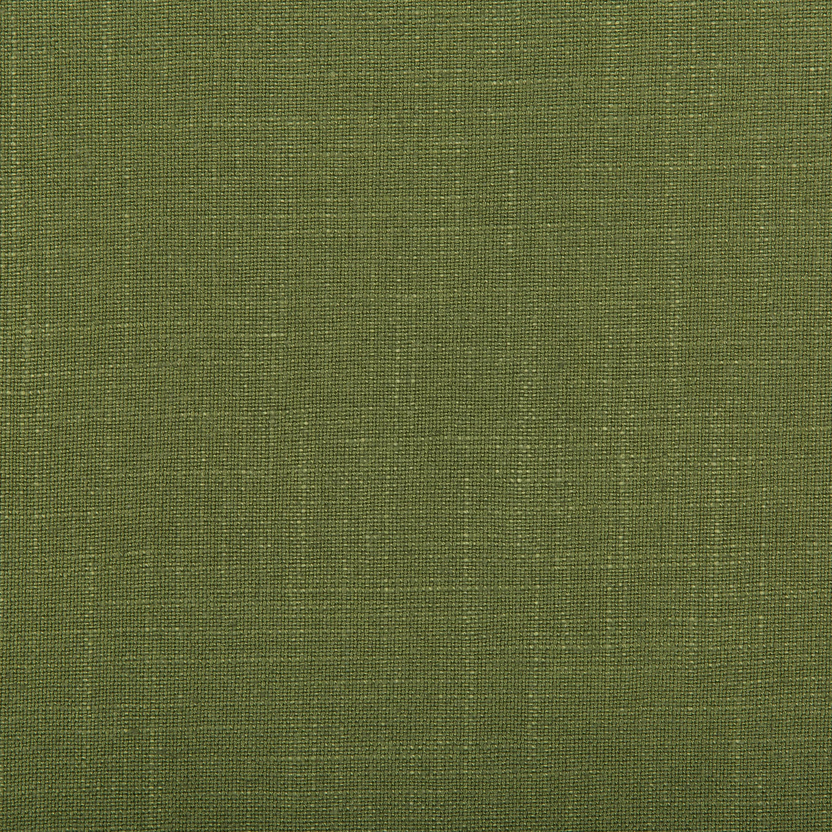 Kravet AURA VINE Fabric