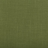 Kravet AURA VINE Fabric