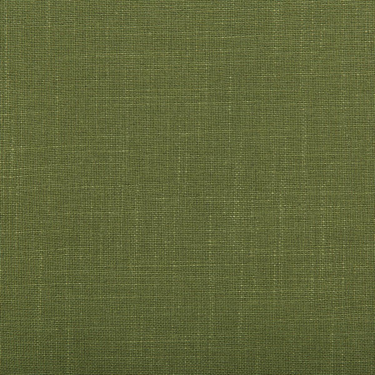 Kravet AURA VINE Fabric