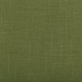 Kravet AURA VINE Fabric