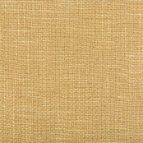 Kravet AURA RATTAN Fabric