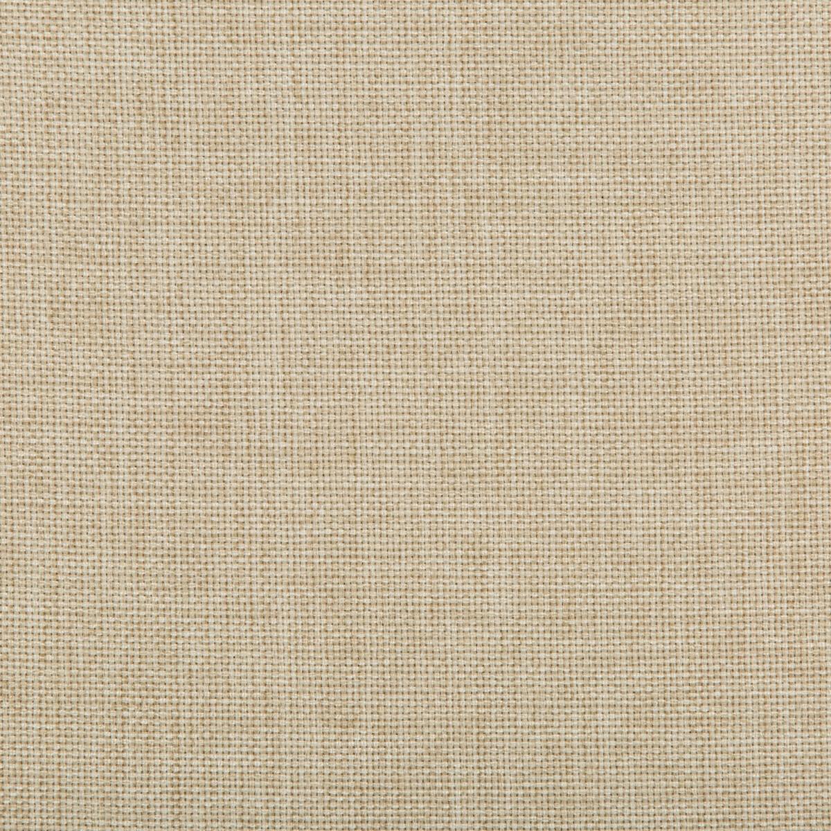 Kravet 4637 116 Fabric