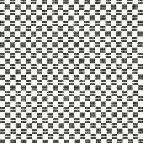 Schumacher Elkhart Black Fabric