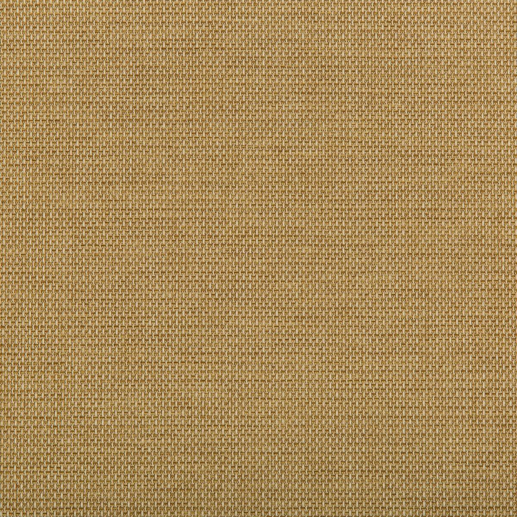 Kravet KRAVET CONTRACT 4645-416 Fabric