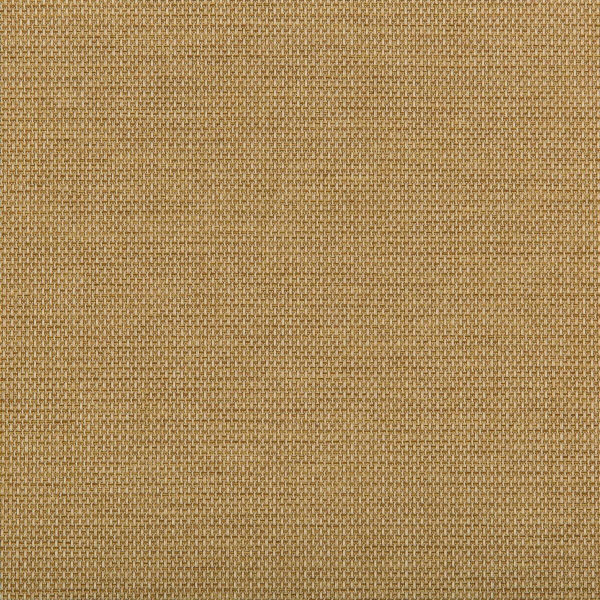Kravet 4645 416 Fabric