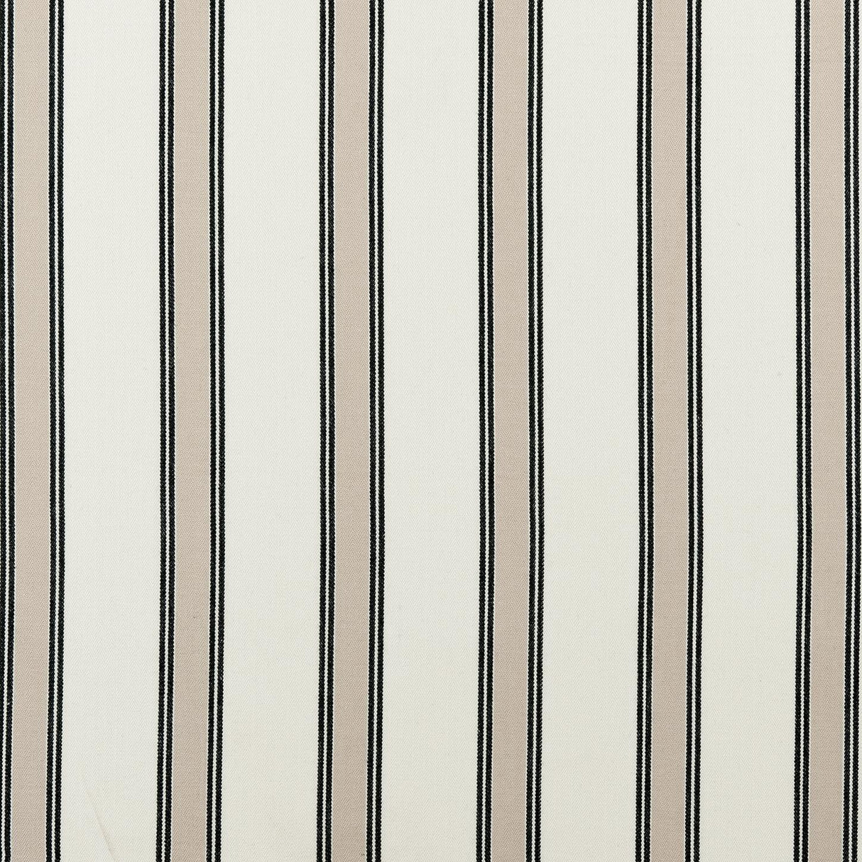 Clarke & Clarke OXFORD CHARCOAL Fabric