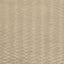 Clarke & Clarke TEMPO SAND Upholstery Fabric