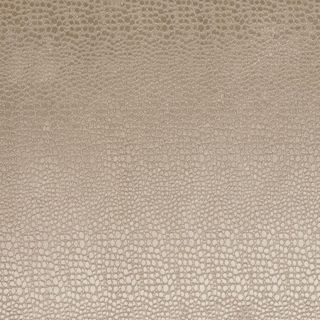 Clarke & Clarke PULSE SAND Fabric
