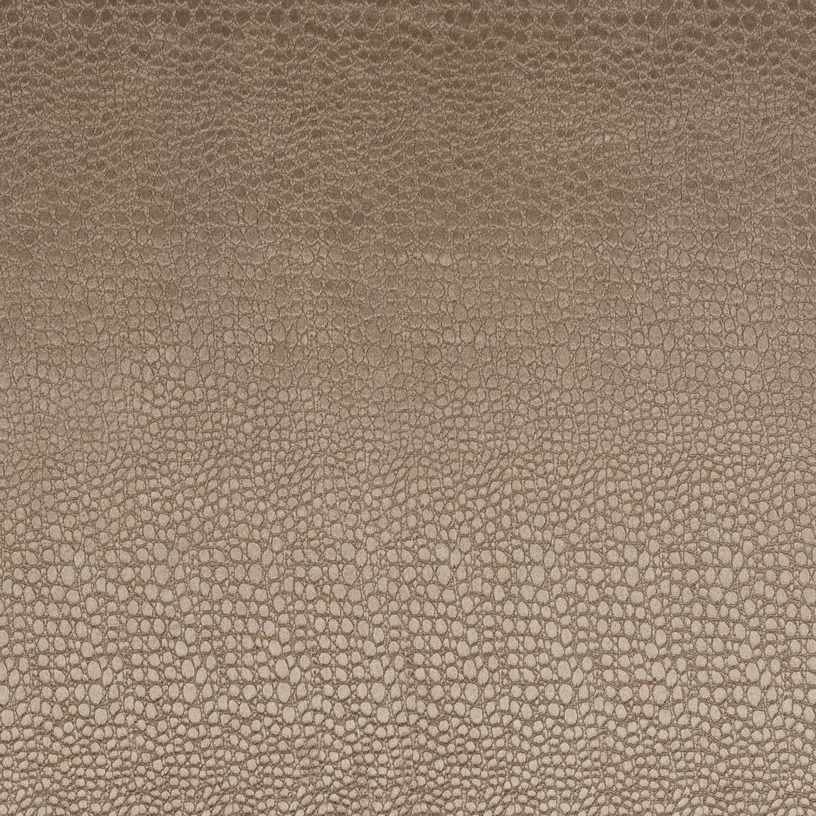 Clarke & Clarke PULSE TAUPE Fabric