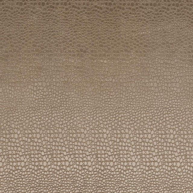 Clarke & Clarke PULSE TAUPE Fabric