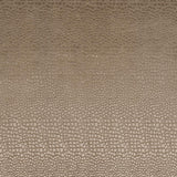 Clarke & Clarke PULSE TAUPE Fabric
