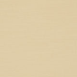 Clarke & Clarke NANTUCKET BUTTER Fabric