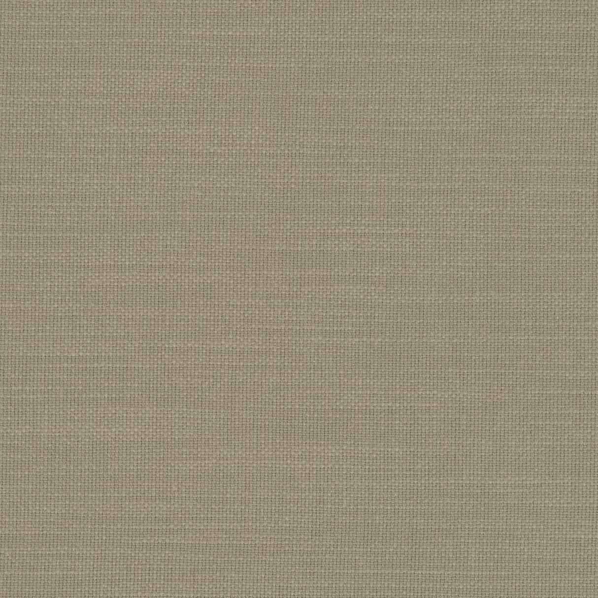 Clarke & Clarke NANTUCKET EUCALYPTUS Fabric