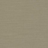 Clarke & Clarke NANTUCKET EUCALYPTUS Fabric