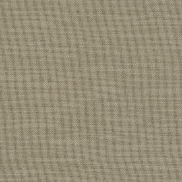 Clarke & Clarke NANTUCKET EUCALYPTUS Fabric