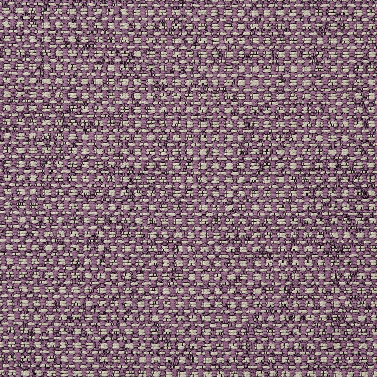 Clarke & Clarke CASANOVA ORCHID Fabric