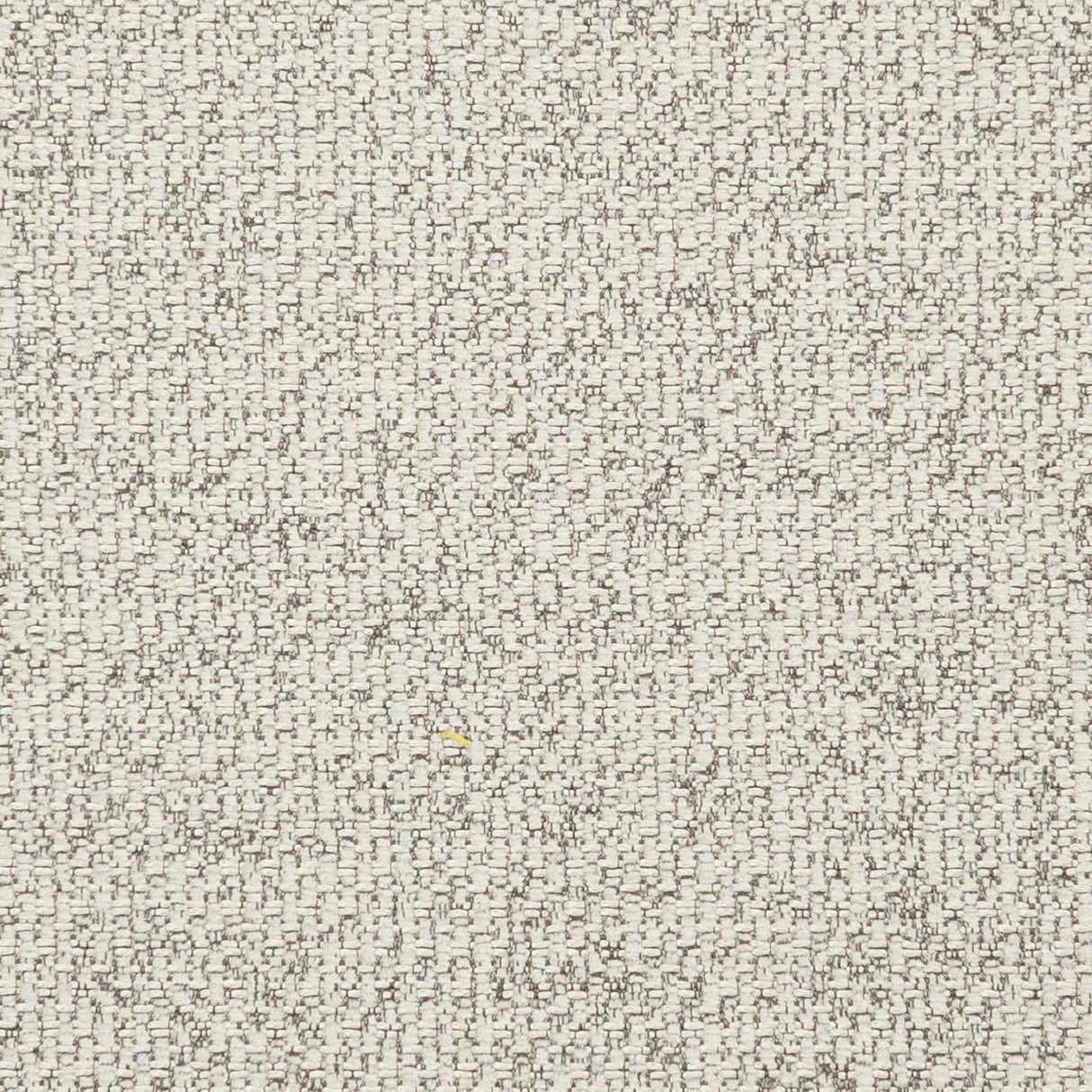 Clarke & Clarke CASANOVA PEBBLE Fabric
