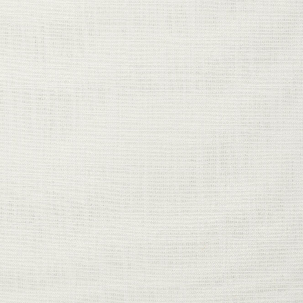 Clarke & Clarke EASTON IVORY Fabric