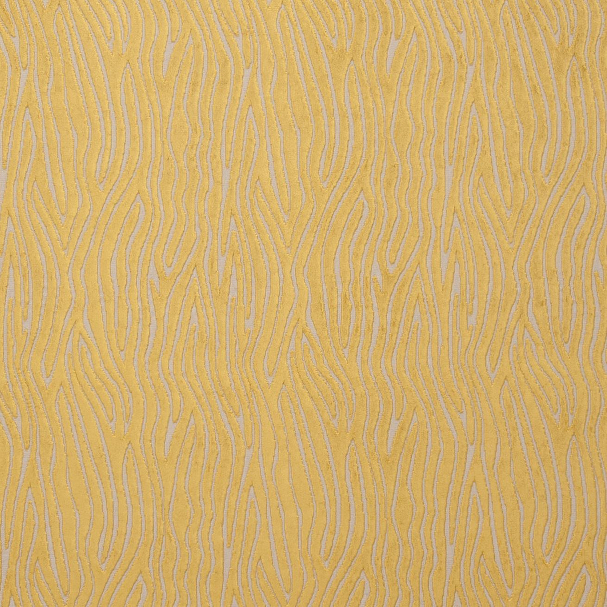 Clarke & Clarke ONDA GOLD Fabric