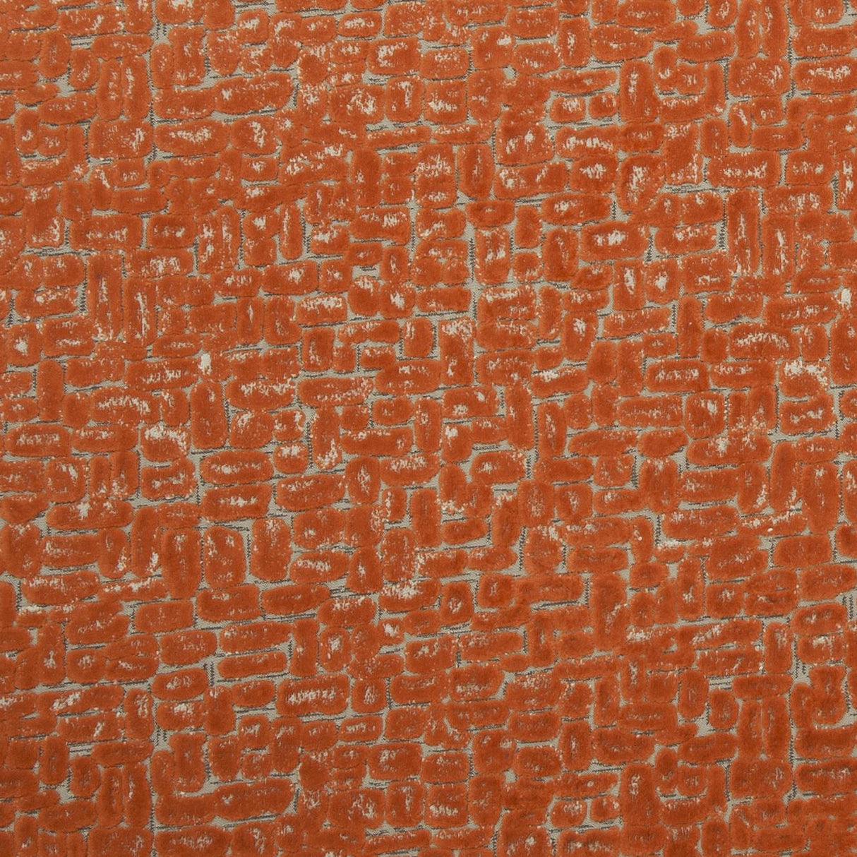 Clarke & Clarke MODA SPICE Fabric