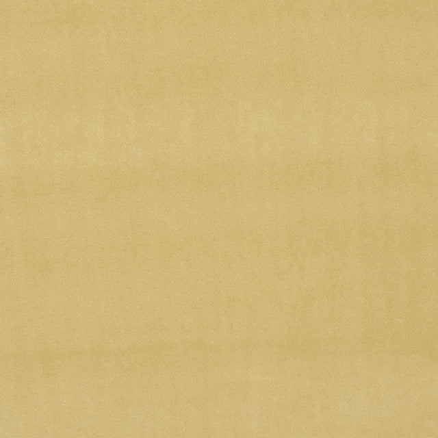 Clarke & Clarke ALVAR OCHRE Fabric