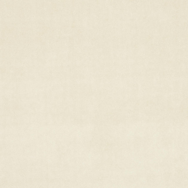 Clarke & Clarke ALVAR BIRCH Fabric