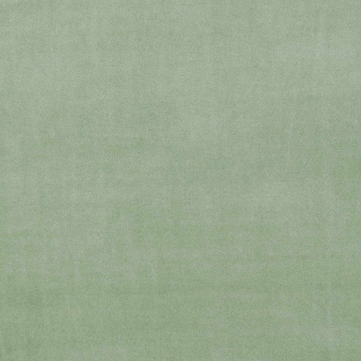 Clarke & Clarke ALVAR CELADON Fabric