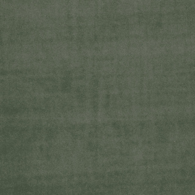 Clarke & Clarke ALVAR HERB Fabric