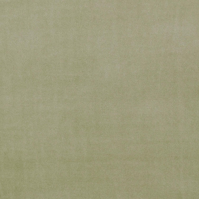 Clarke & Clarke ALVAR SAGE Fabric