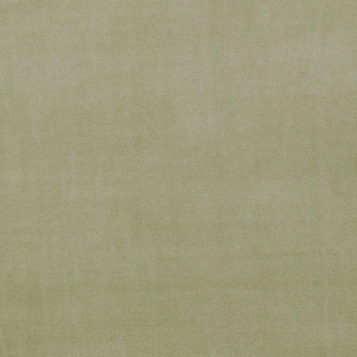 Clarke & Clarke ALVAR SAGE Fabric