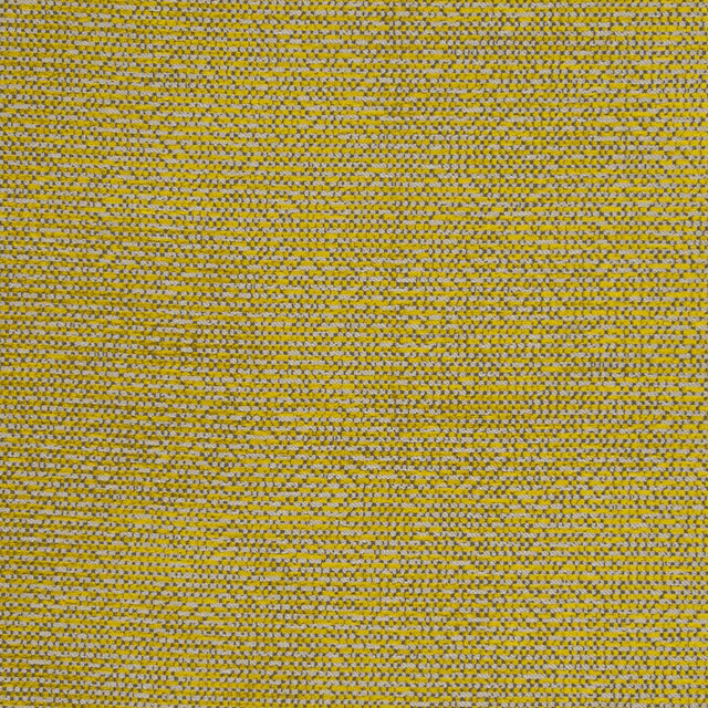 Clarke & Clarke BEAUVOIR CITRUS Fabric