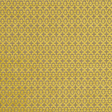 Clarke & Clarke MANSOUR CITRUS Fabric