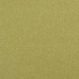 Clarke & Clarke HIGHLANDER FERN Fabric