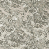 Clarke & Clarke MARMO TAUPE Fabric