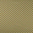 Clarke & Clarke REGGIO ANTIQUE Drapery Fabric