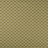 Clarke & Clarke REGGIO ANTIQUE Drapery Fabric