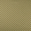 Clarke & Clarke REGGIO ANTIQUE Drapery Fabric