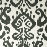 Clarke & Clarke BW1018 BLACK/WHITE Fabric